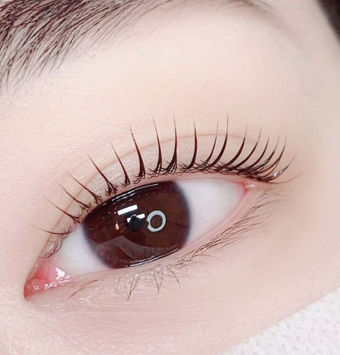 LASH & BROW PERM